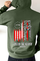 We The People Plead The 2nd Pullover Hoodie