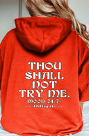 Thou Shall Not Pullover Hoodie